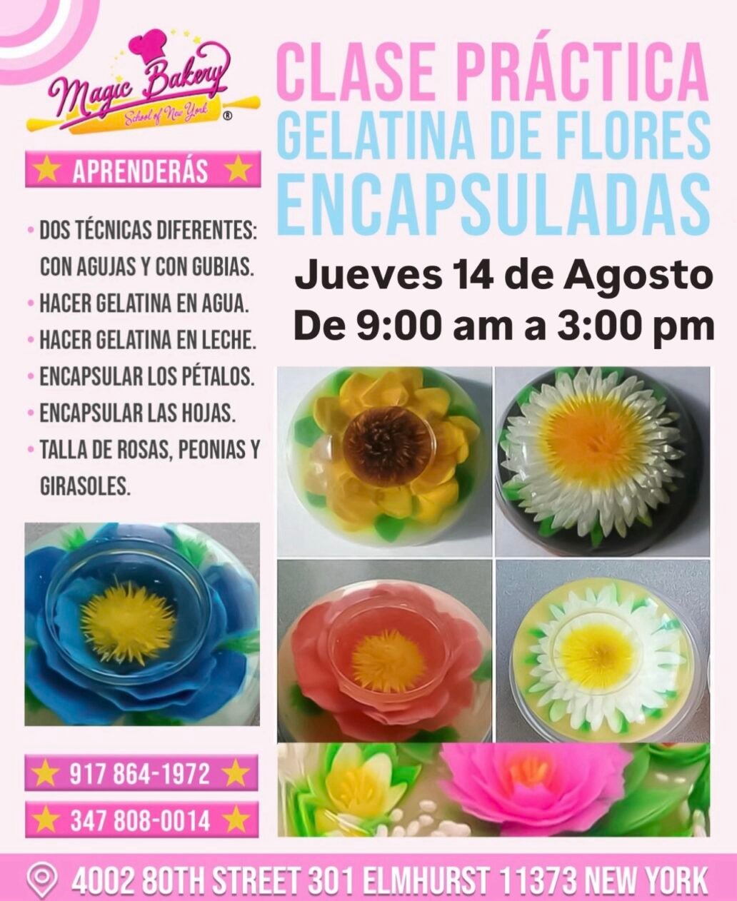 Clase Gelatina Encapsulada